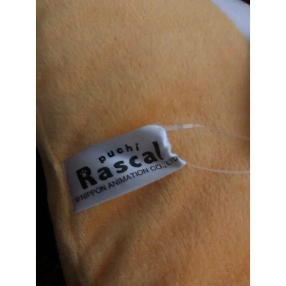 Furyu Puchi Rascal Raccoon Laying Down (Closed Eyes) Cushion Toreba Prize Plush